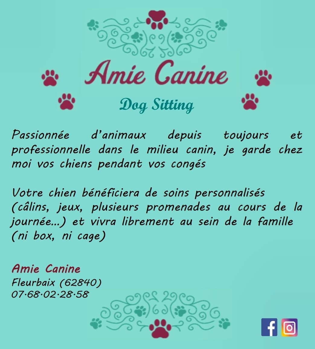 Partenaire Amie Canine