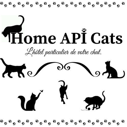 Partenaire Home Api Cats